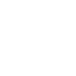 SUZUKI-110