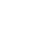 GWM-110